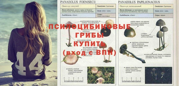 дистиллят марихуана Гусев