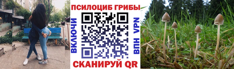 Купить закладки Покачи Псилоцибиновые грибы Magic Shrooms