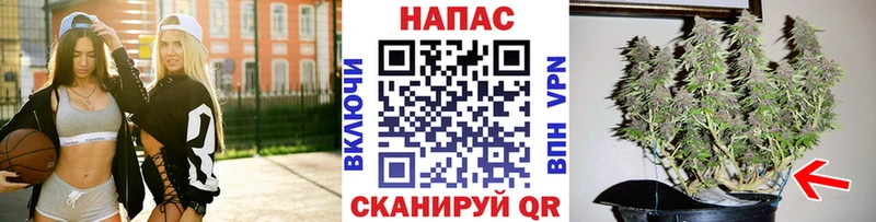 МАРИХУАНА MAZAR  Купить закладки  Покачи 